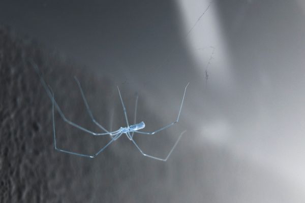 © Maryna Shtanko - Image from the Knock Three Times photography project