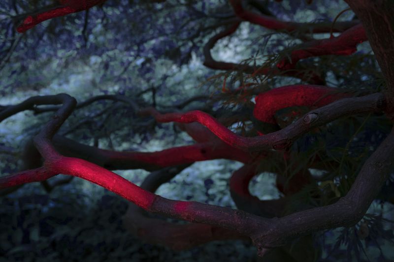 © Maryna Shtanko - Image from the Knock Three Times photography project
