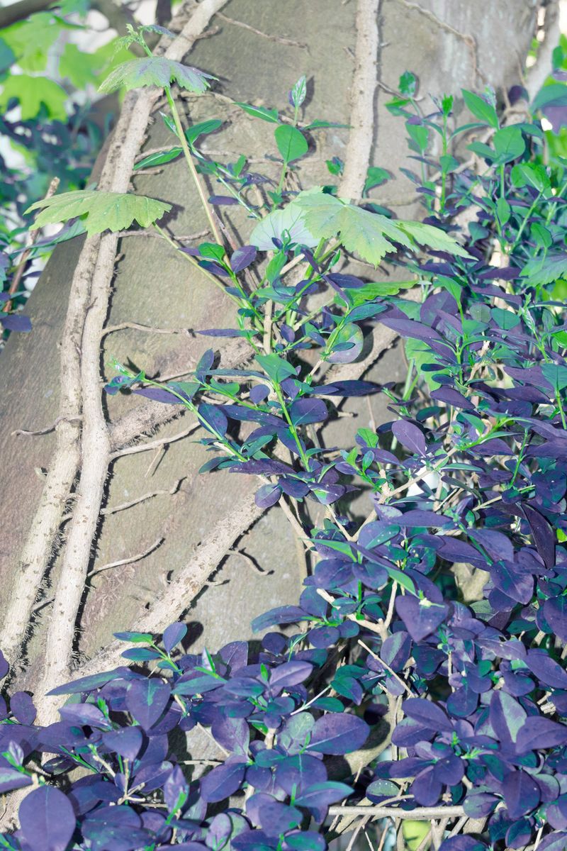 © Maryna Shtanko - Image from the Knock Three Times photography project