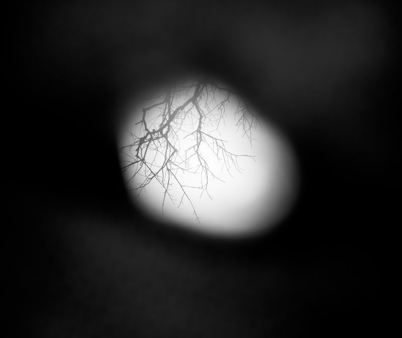 © Susan Sidebottom - "From Darkness To Light", 2024, Archival Inkjet Print, 14 x 16