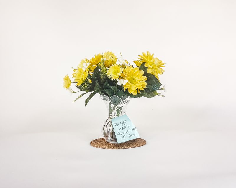 © Susan Sidebottom - "Do Not Water", 2023, Archival Inkjet Print with attached Post-It note, 19 x 23