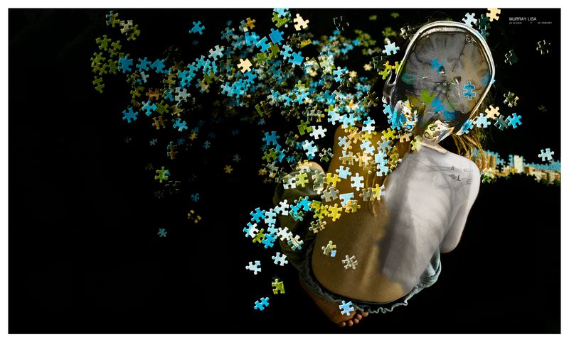 © Lisa Murray - THE PUZZLEThe Life-Long Puzzle.