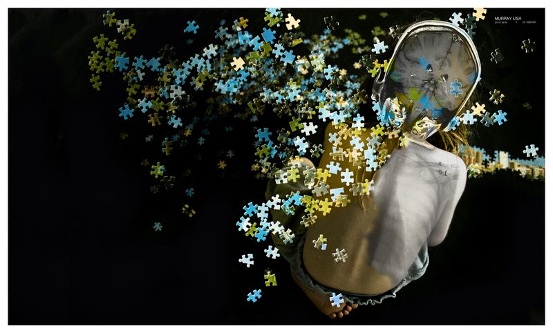© Lisa Murray - THE PUZZLEThe Life-Long Puzzle.