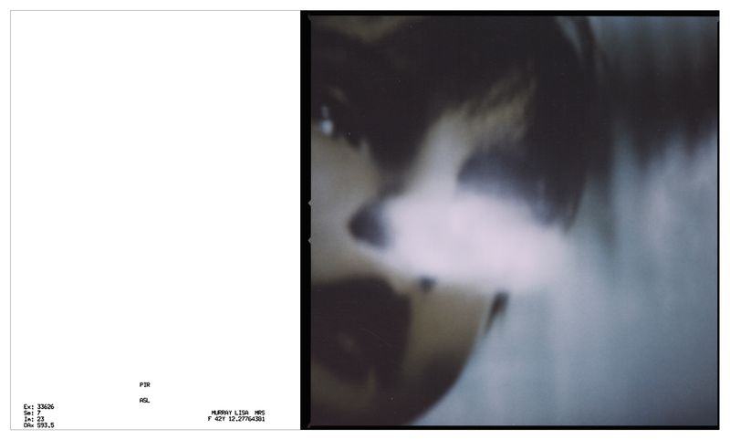 © Lisa Murray - WITHIN REACHI can finally see myself.