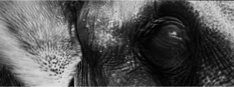 © Andrea De Franciscis - Image from the DELHIRIUM photography project