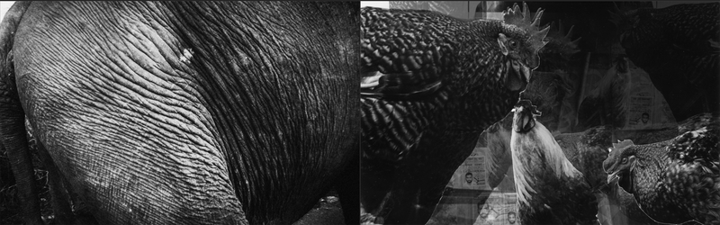 © Andrea De Franciscis - Image from the DELHIRIUM photography project