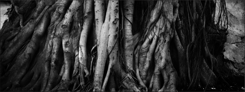 © Andrea De Franciscis - Image from the DELHIRIUM photography project