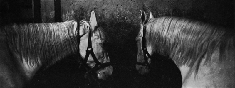© Andrea De Franciscis - Image from the DELHIRIUM photography project