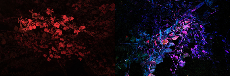 © Andrea De Franciscis - Image from the DELHIRIUM photography project