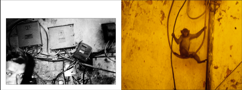 © Andrea De Franciscis - Image from the DELHIRIUM photography project