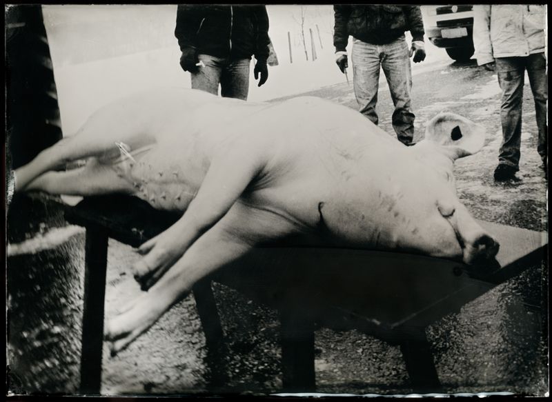 © Stefan Sappert - Image from the Saustechen photography project