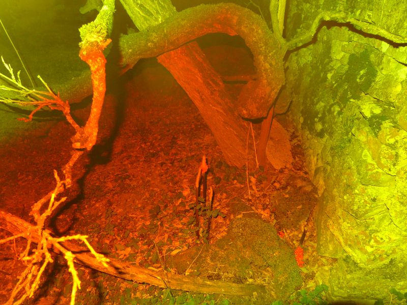 © Ann Massal - Image from the R.A.P.E. photography project