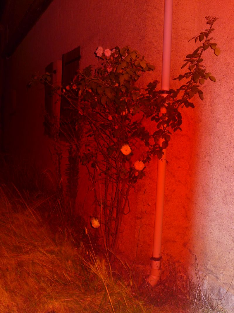 © Ann Massal - Image from the R.A.P.E. photography project