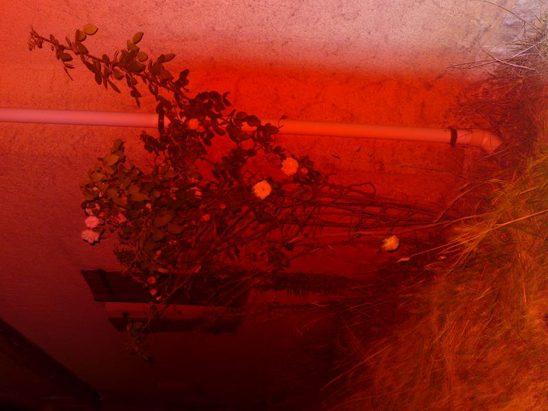 © Ann Massal - Image from the R.A.P.E. photography project