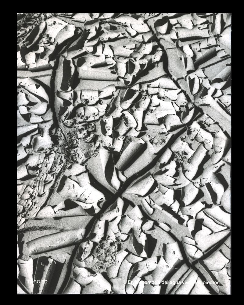 Image from a project on PhMuseum