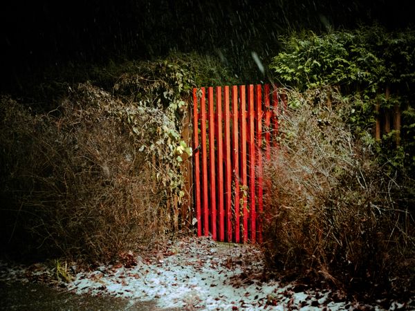 © Jeremy Wilson - Image from the CHIMERIA photography project