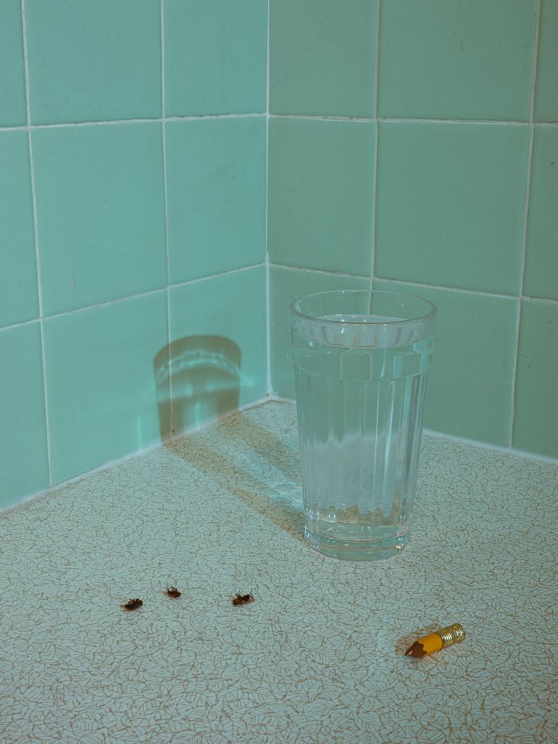 © Jeremy Wilson - Image from the CHIMERIA photography project