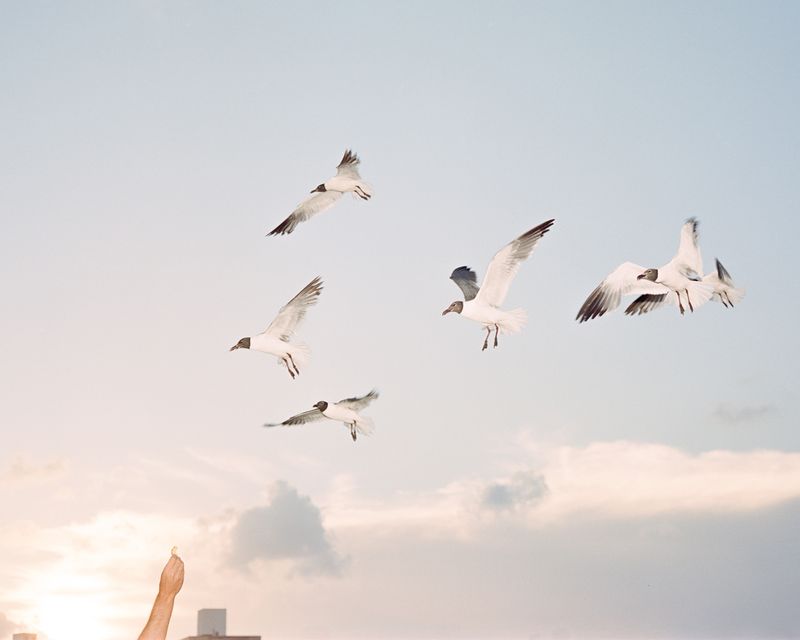 © Yuhan Shen - Image from the Eyeless through Space photography project