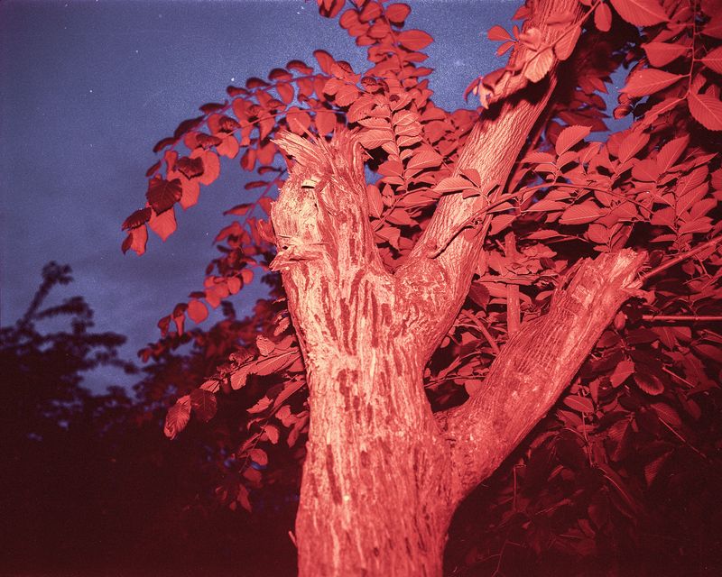 © Yuhan Shen - Image from the Eyeless through Space photography project
