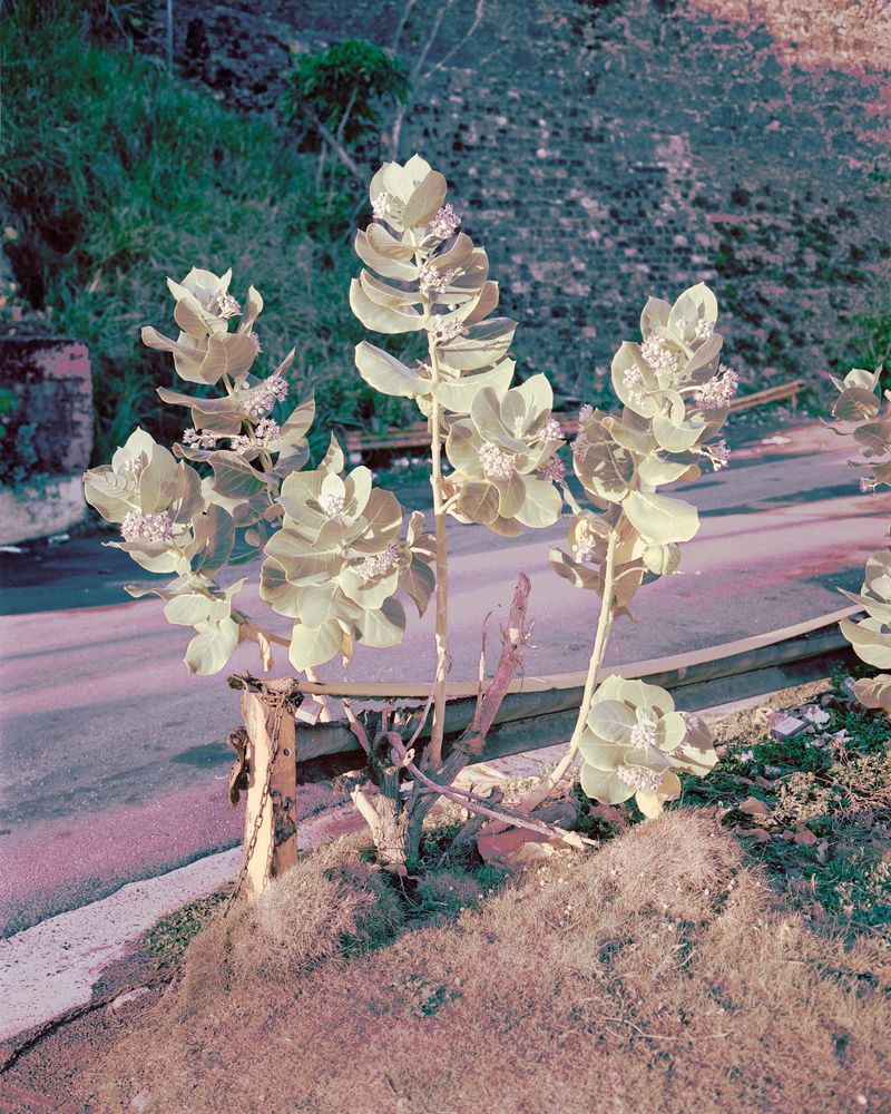 © Yuhan Shen - Image from the Eyeless through Space photography project