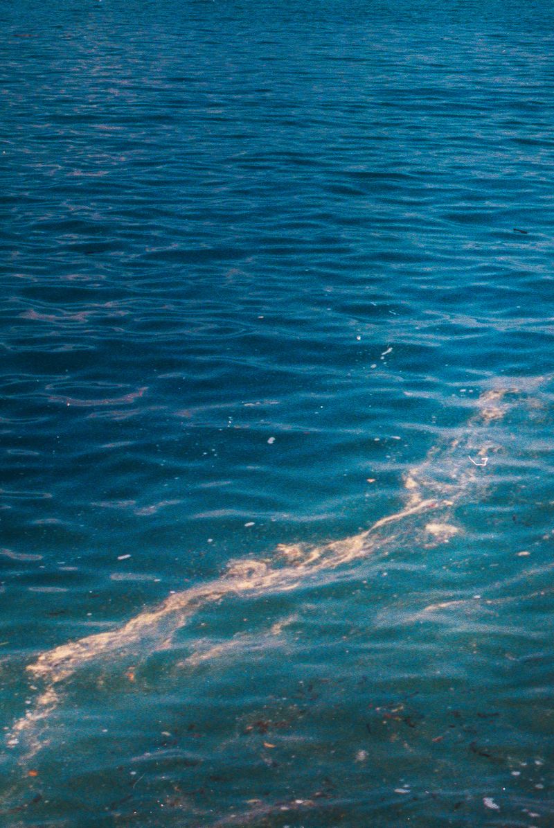 © Emma Godfrey Pigott - Image from the The Last Snowball photography project