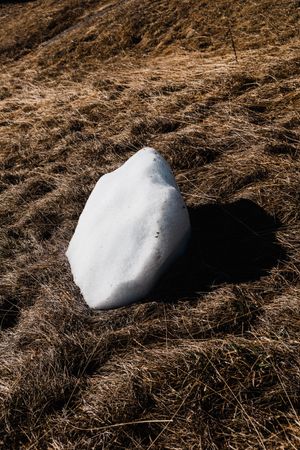 The Last Snowball