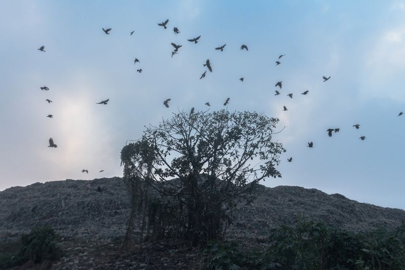© Jubair Ahmed Arnob - Image from the The Place Where I Used To Play... photography project