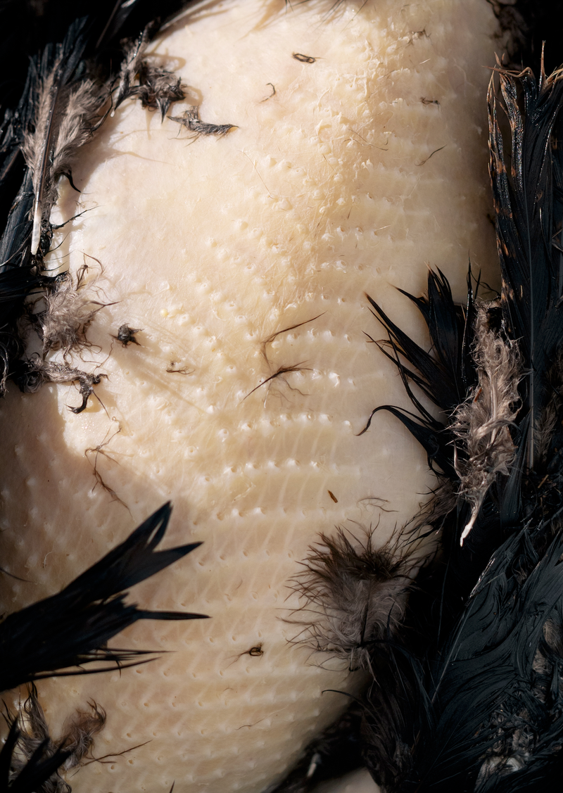 © Lina Czerny - Image from the Armor photography project