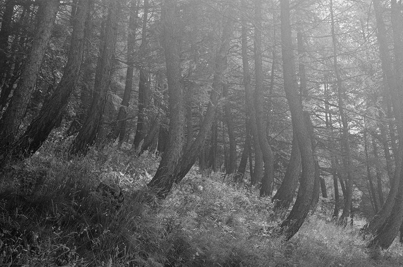 © Catia Simões - Image from the #wordstomymother photography project