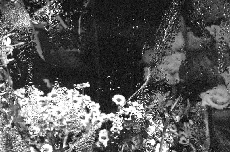 © Catia Simões - Image from the #wordstomymother photography project