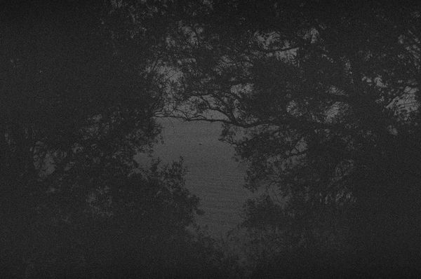 © Catia Simões - Image from the #wordstomymother photography project