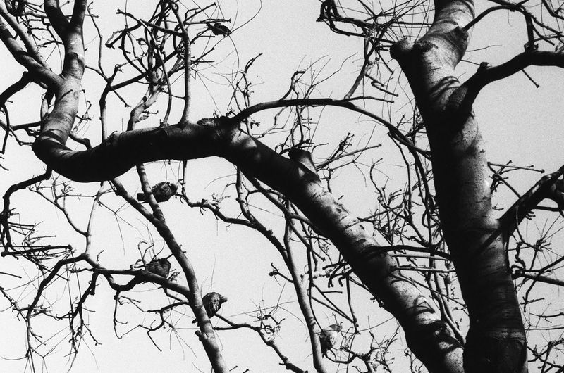 © Catia Simões - Image from the #wordstomymother photography project