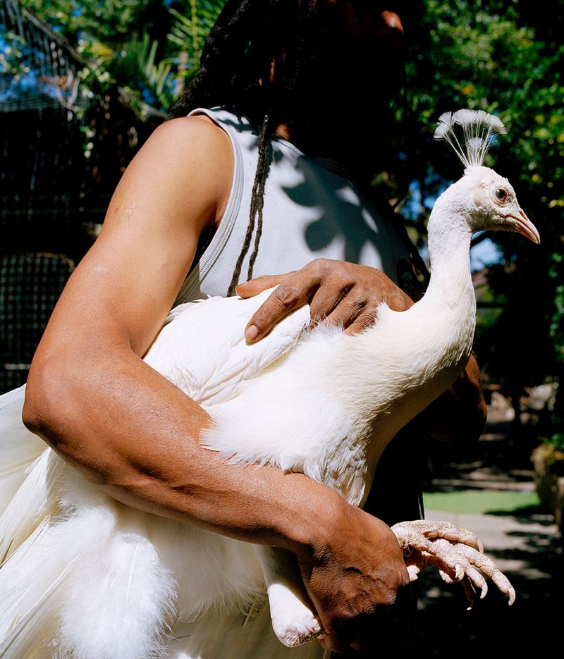 © Kent Andreasen - A symbol of purity