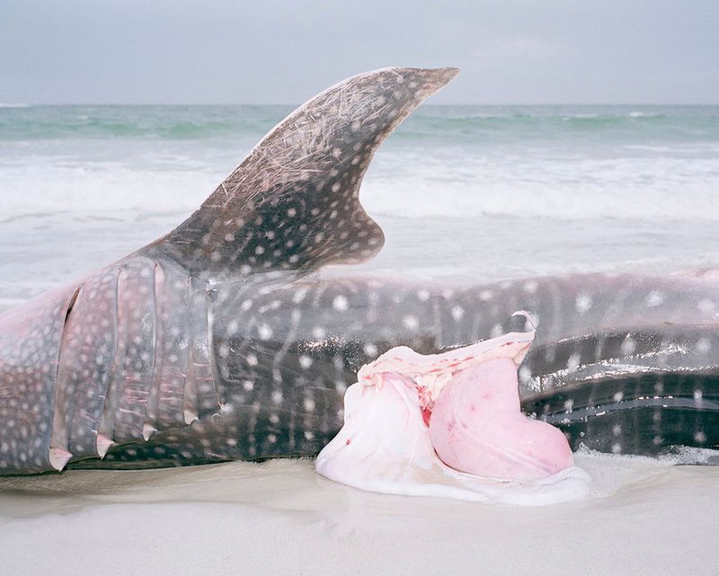 © Kent Andreasen - Image from the Memory Bank photography project