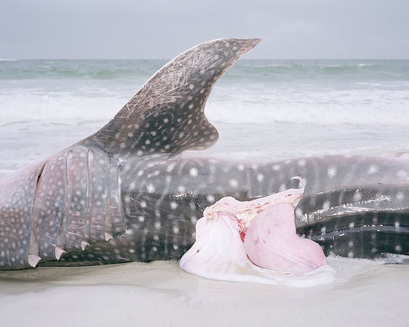 © Kent Andreasen - Image from the Memory Bank photography project