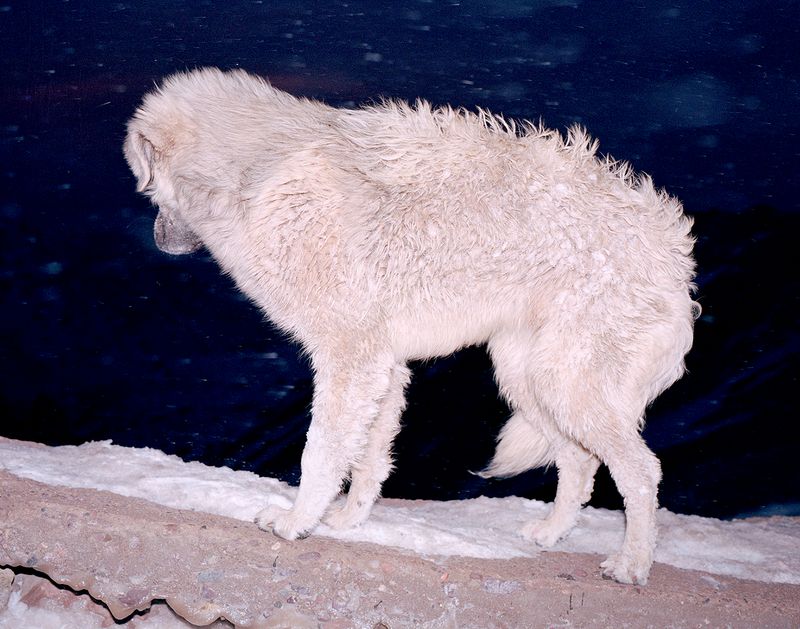 © Kent Andreasen - Image from the Memory Bank photography project