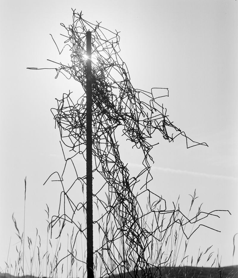 © Kent Andreasen - Image from the Enjoy Your Life. photography project