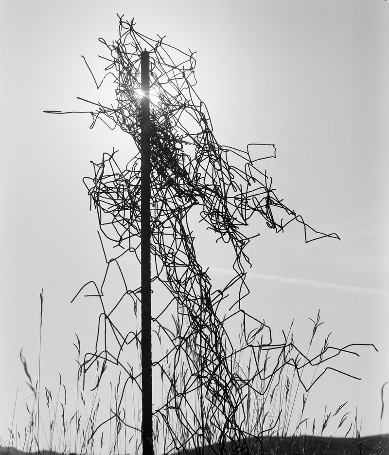 © Kent Andreasen - Image from the Enjoy Your Life. photography project