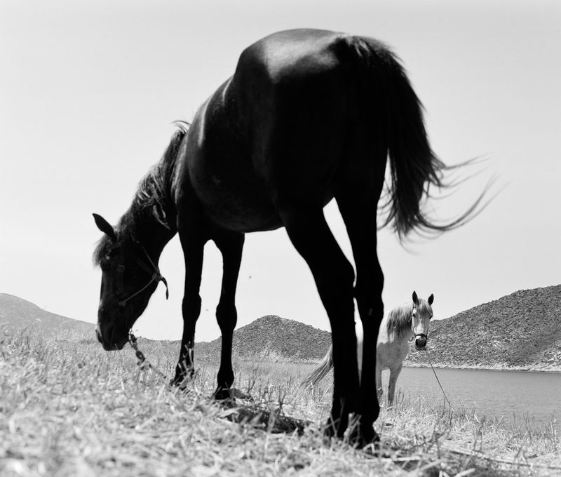 © Kent Andreasen - Image from the Enjoy Your Life. photography project