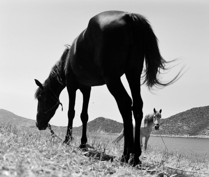 © Kent Andreasen - Image from the Enjoy Your Life. photography project