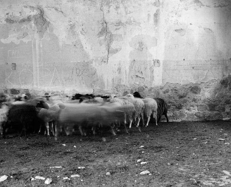 © Kent Andreasen - Image from the Enjoy Your Life. photography project