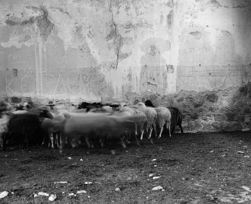 © Kent Andreasen - Image from the Enjoy Your Life. photography project