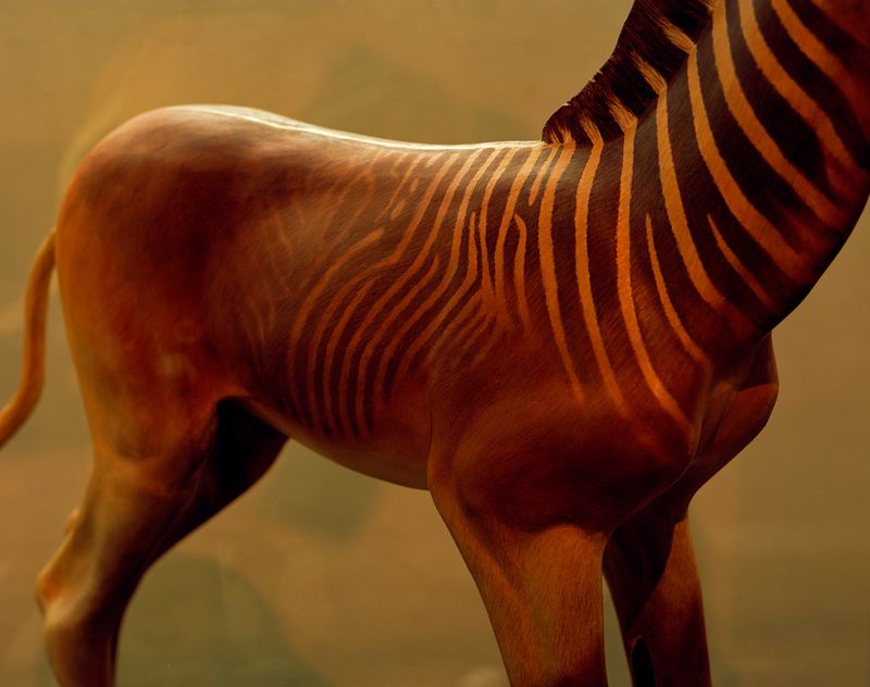 © Kent Andreasen - Image from the Memory Bank photography project