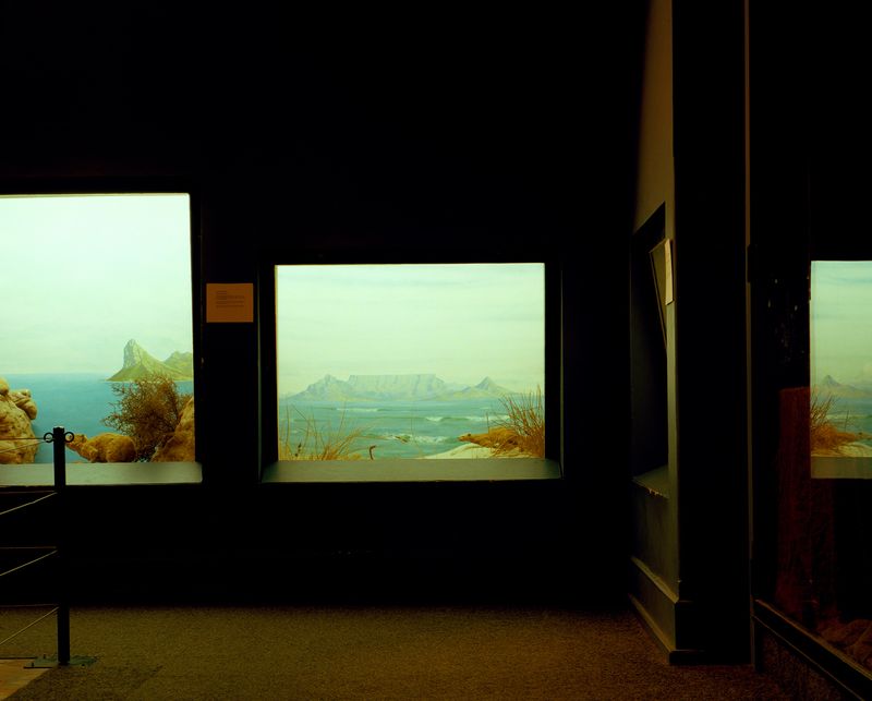 © Kent Andreasen - A diorama at the Natural History Museum of Cape Town. It depicts the famous view of Table Mountai