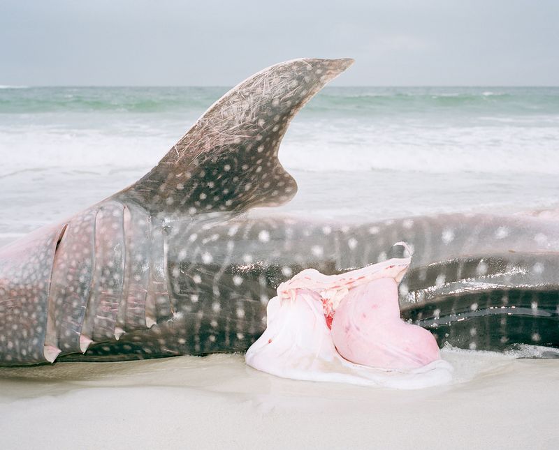 © Kent Andreasen - Image from the Memory Bank photography project