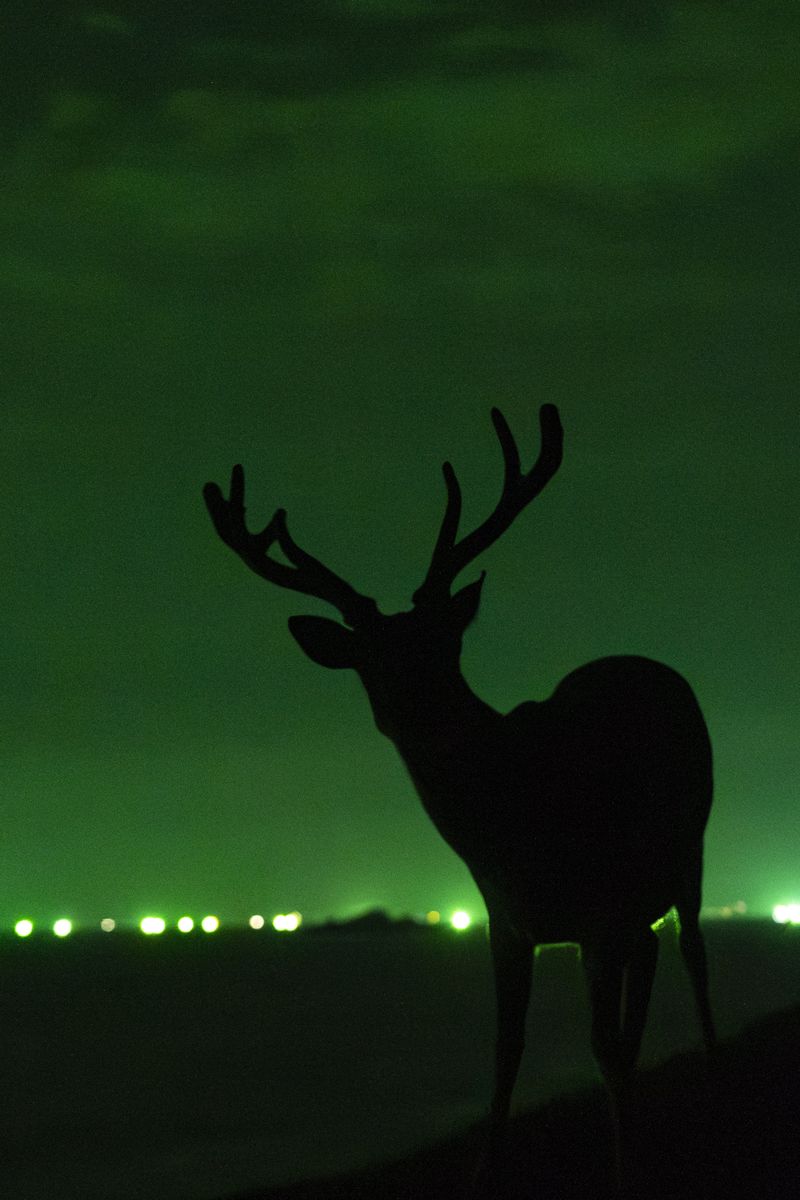 © Chang-Ching "Casper" Su - In the Limelight