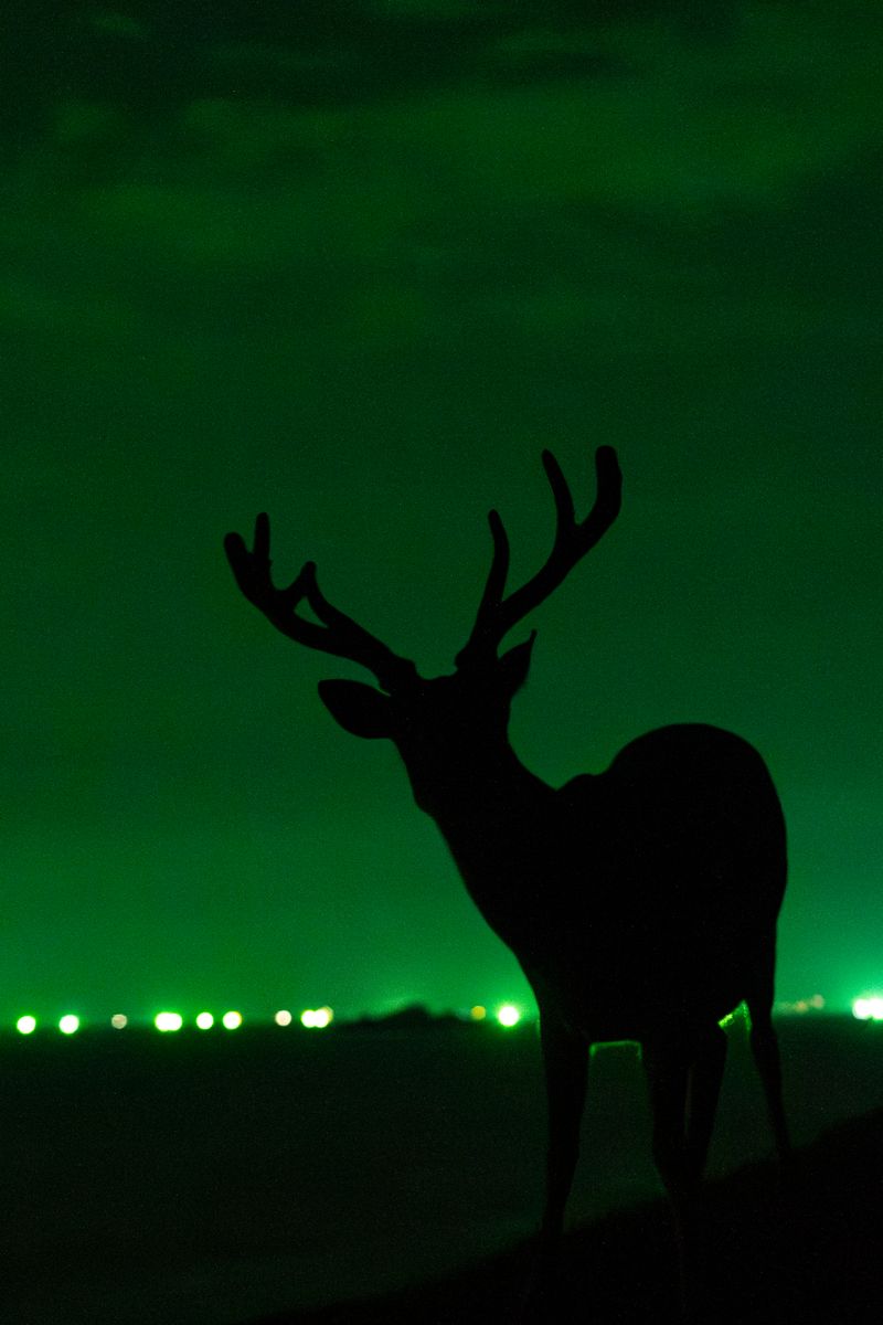 © Chang-Ching "Casper" Su - In the Limelight