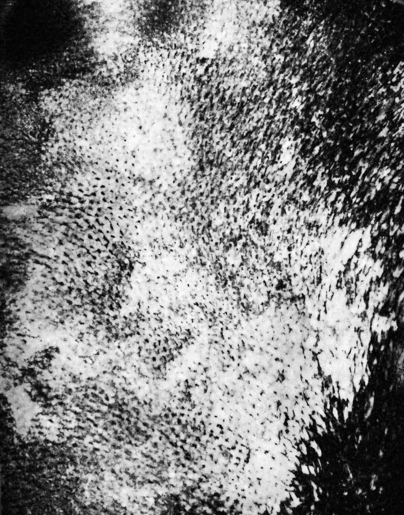 © Tobias Ahlbrecht - Image from the ONE photography project