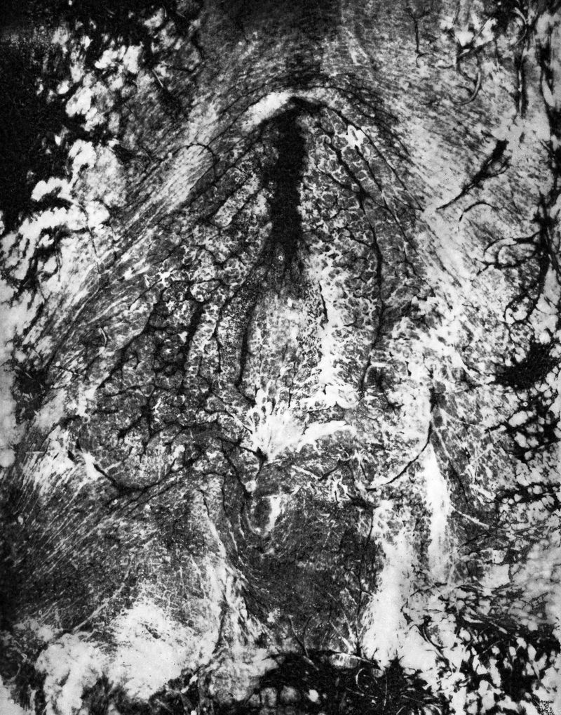 © Tobias Ahlbrecht - Image from the ONE photography project