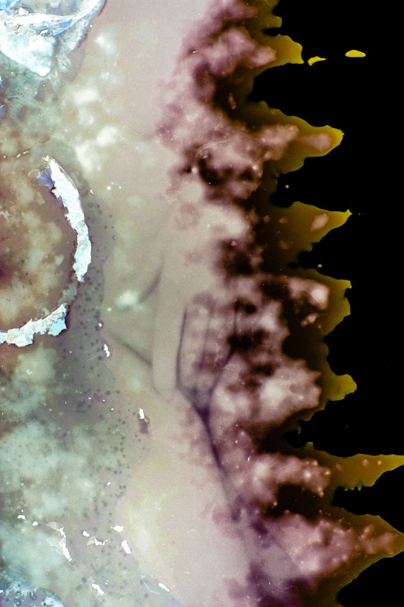 © Tobias Ahlbrecht - Image from the ONE photography project